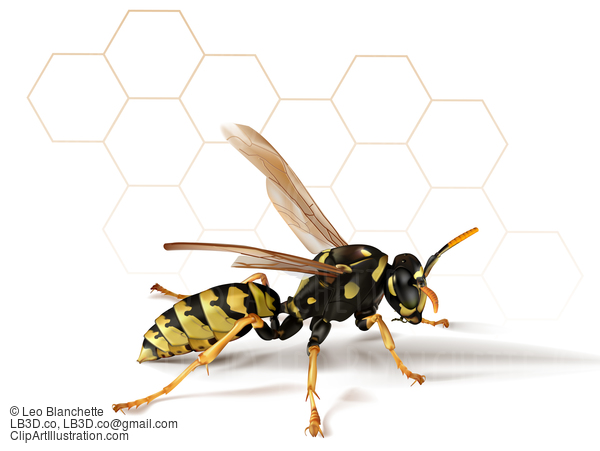 Paper Wasp With Abstract Background #24533