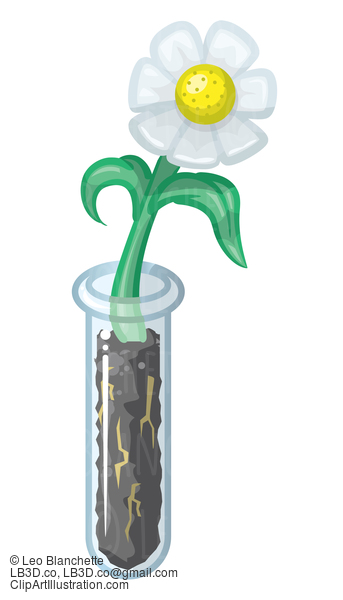 Daisy Growing Out Of Test Tube #24539