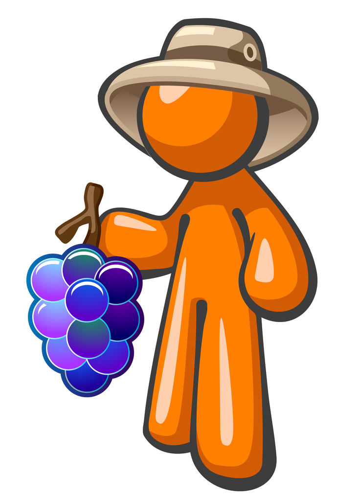 Orange Man with Grapes Vineyard Worker Hat