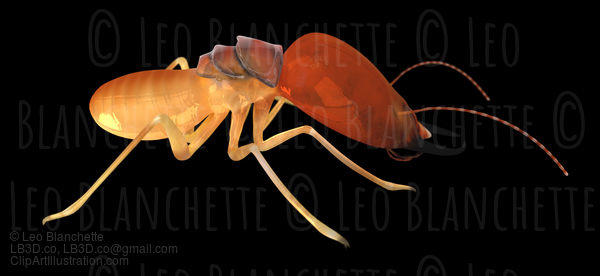 Termite Isoptera Side View Black Isolated  Illustration #16680