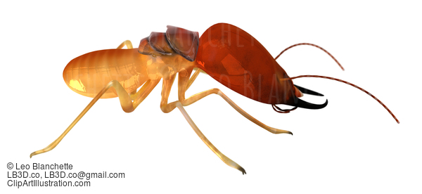 Termite Isoptera Isolated On White Side View Illustration #16682