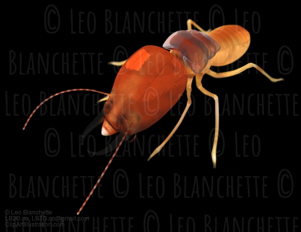 Termite Isoptera  Front View Black Isolated Illustration #16685