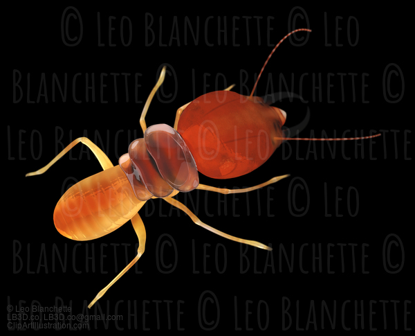 Termite Isoptera Top View Black Isolated Illustration #16690