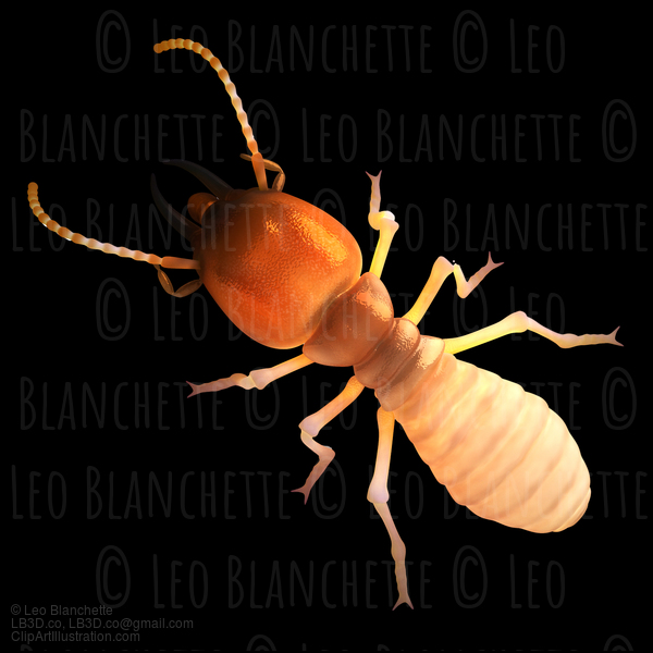 Termite Isoptera Top View Black Isolated  Illustration #16692