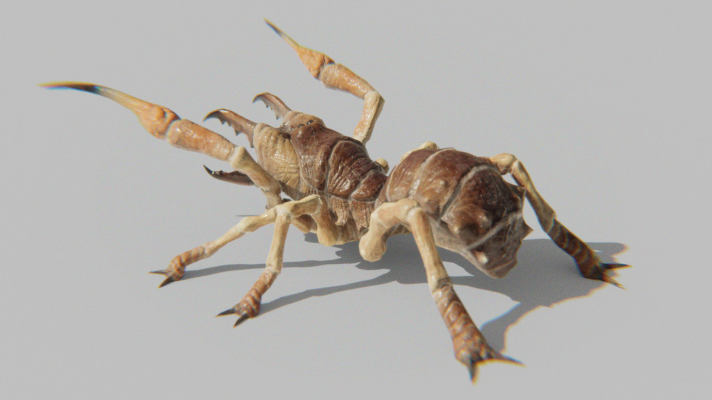 Camel Spider Monster 3d Model Hind View