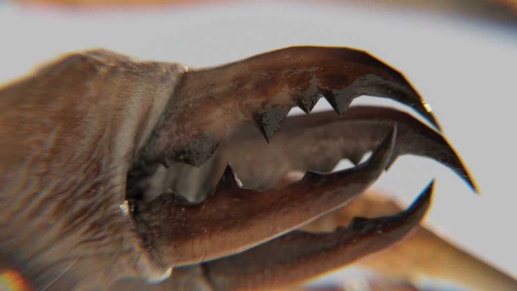 Camel Spider Jaws macro 3d, Blender 3d, Camel Spider Monster