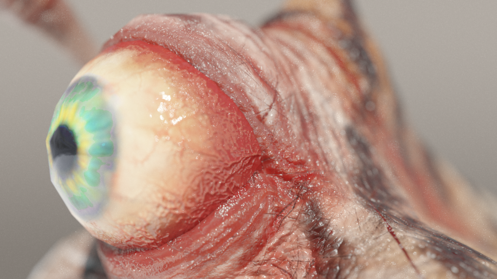 Eyeball Closeup - Eyeball Spine Slug 3d Model