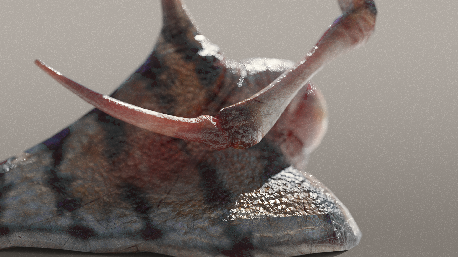 Spike Closeup View Eyeball Spine Slug 3d Model