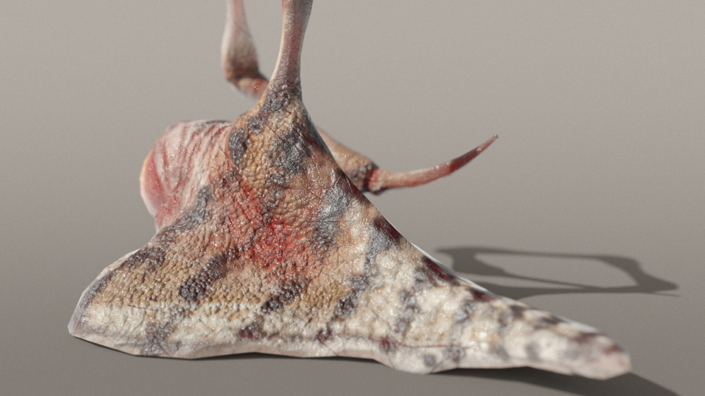 Back View Eyeball Spine Slug 3d Model