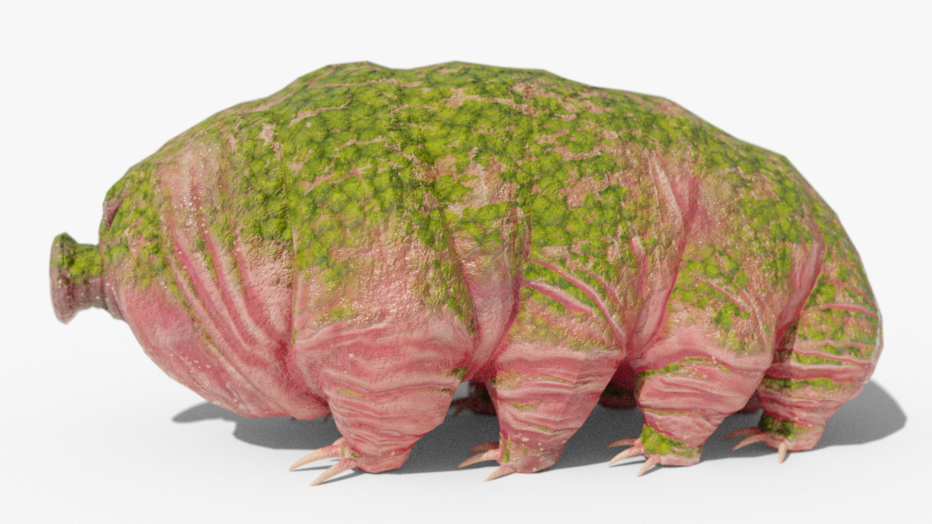 Moss piglet or tardigrade, 3d model, side view, covered with moss.