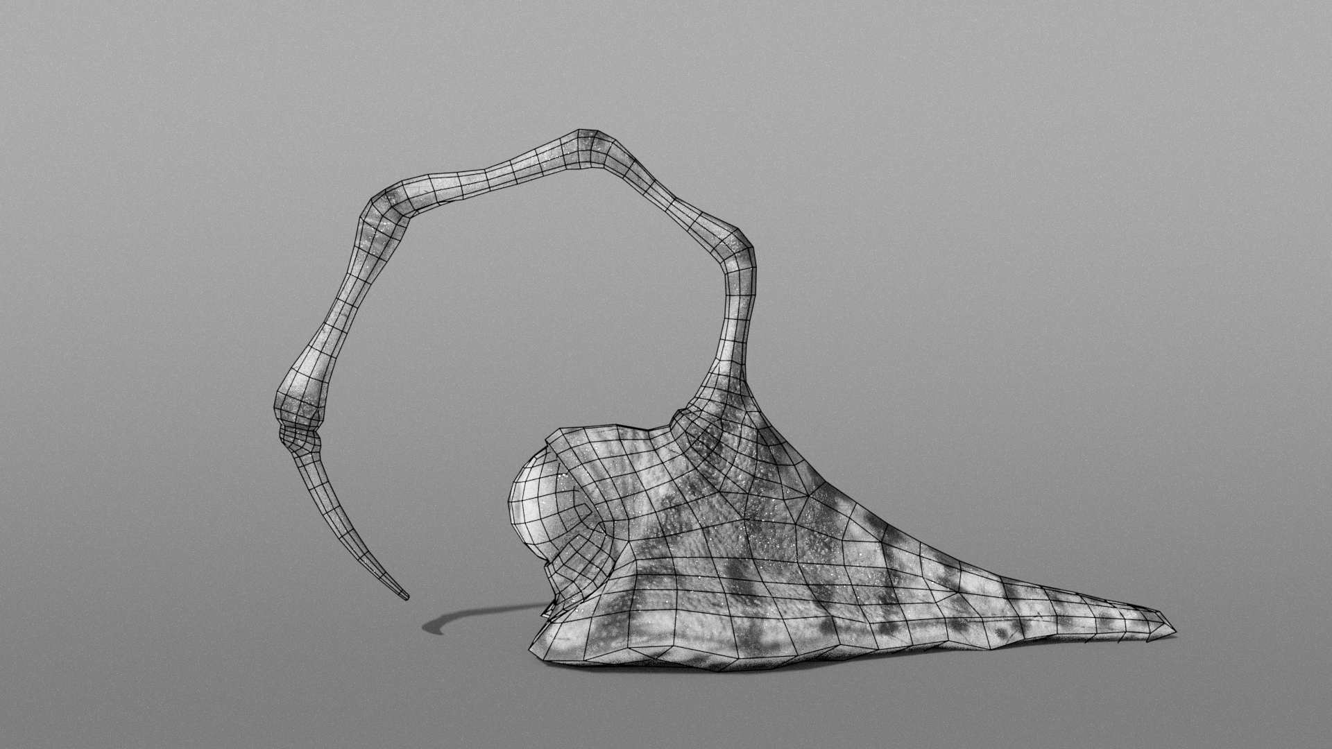 Polygon View Eyeball Spine Slug 3d Model