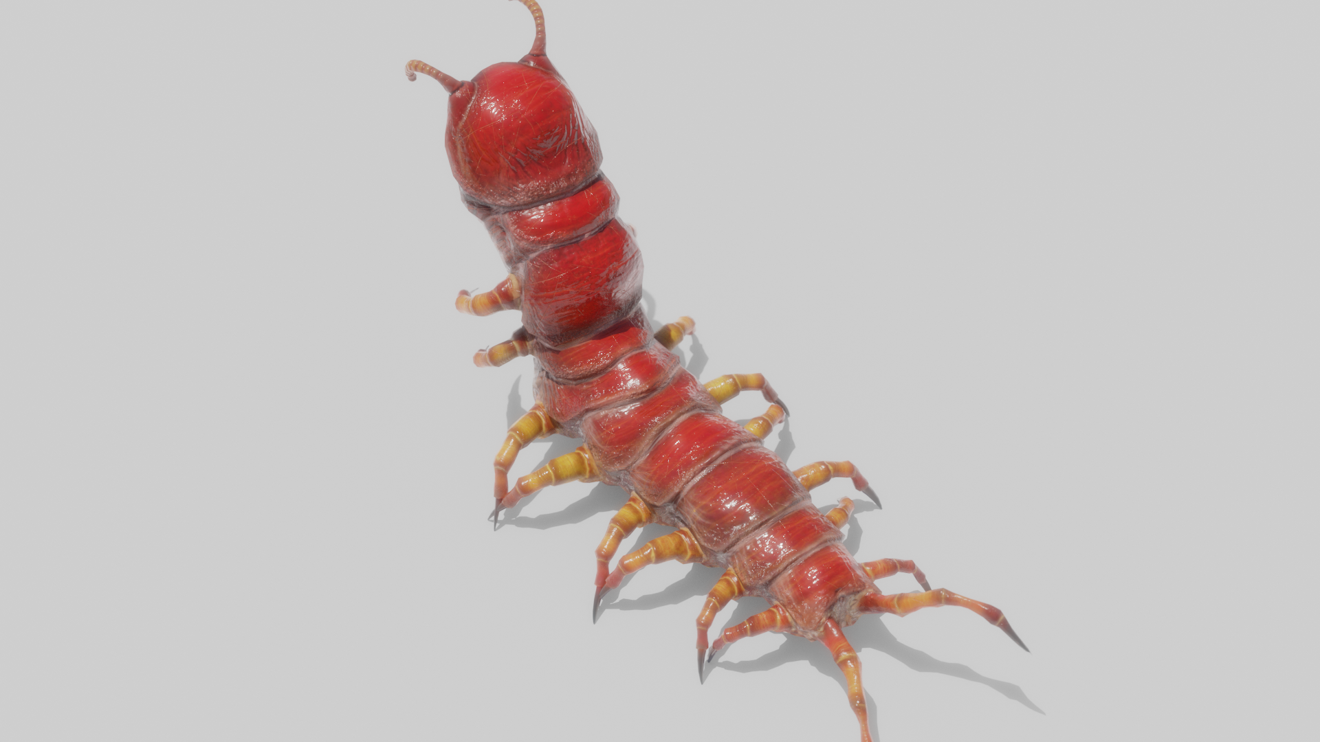 Centipede monster, crawling top view.