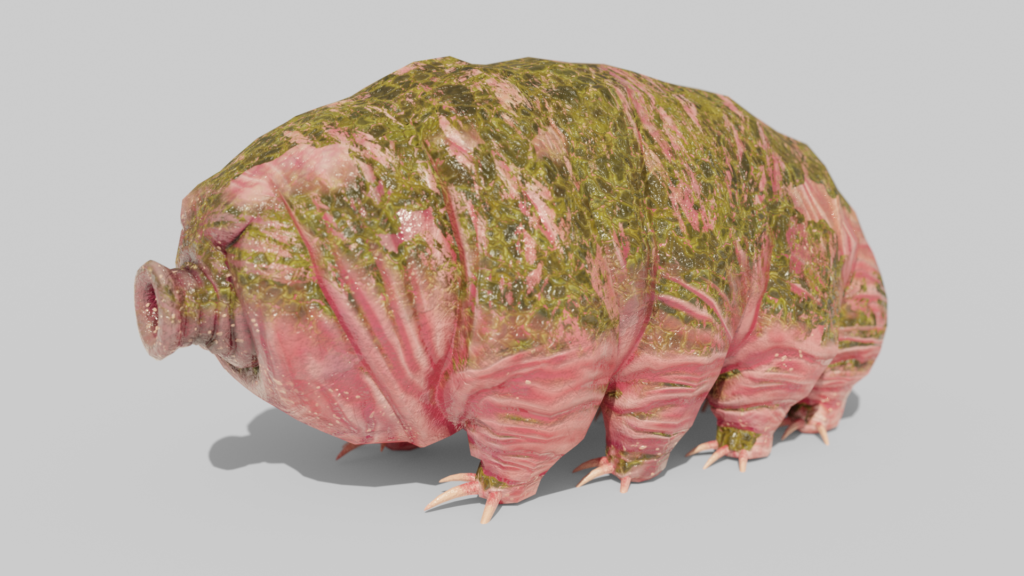 Waterbear Tardigrade 3d Model, Game Asset, Lichens on Back