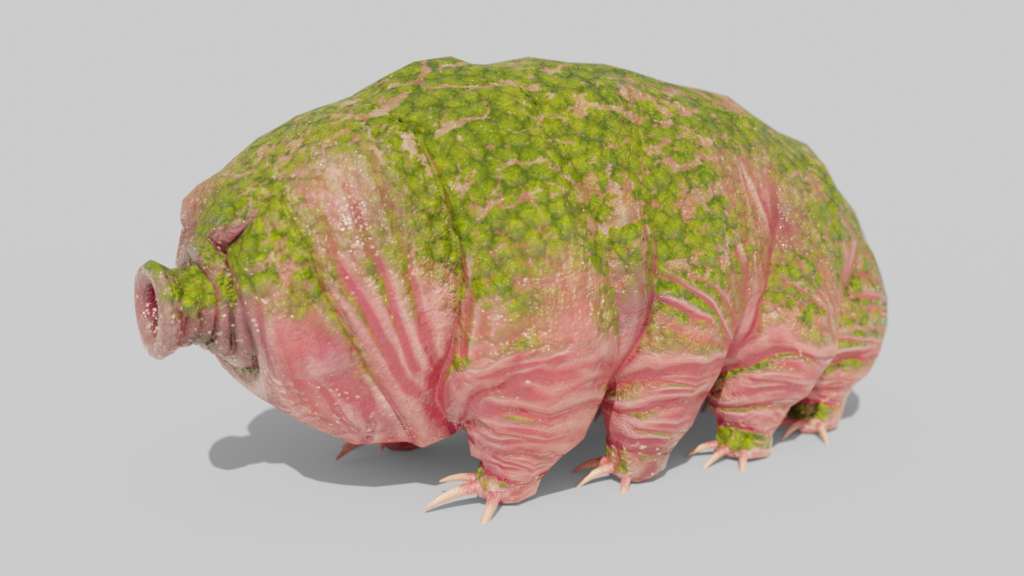 Waterbear Tardigrade 3d Model, Game Asset, Moss on Back