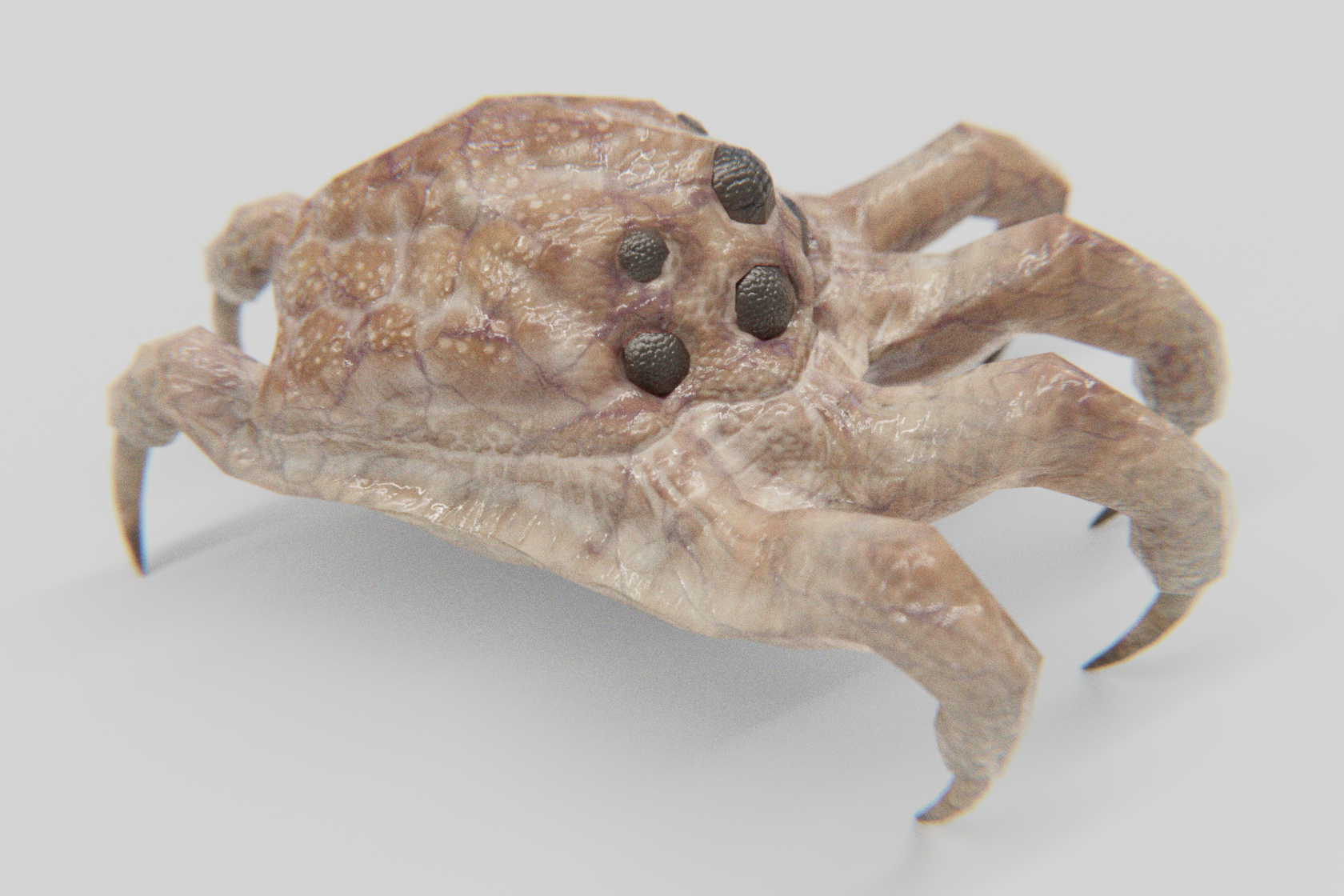 Kranion Drone - Basic View 2 - 3d Model of Facehugger or Headcrab