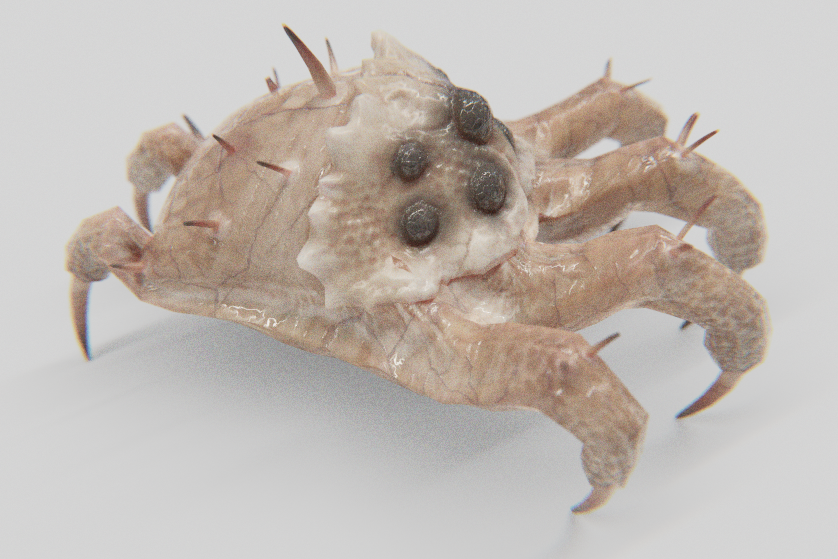 Half Life Headcrab Creature Kranion Soldier - Basic View - 3d Model of Facehugger or Headcrab