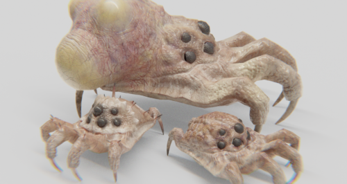 Kranion Plague Plague Spreader, Drone, and Soldier - 3d Model of Facehugger or Headcrab