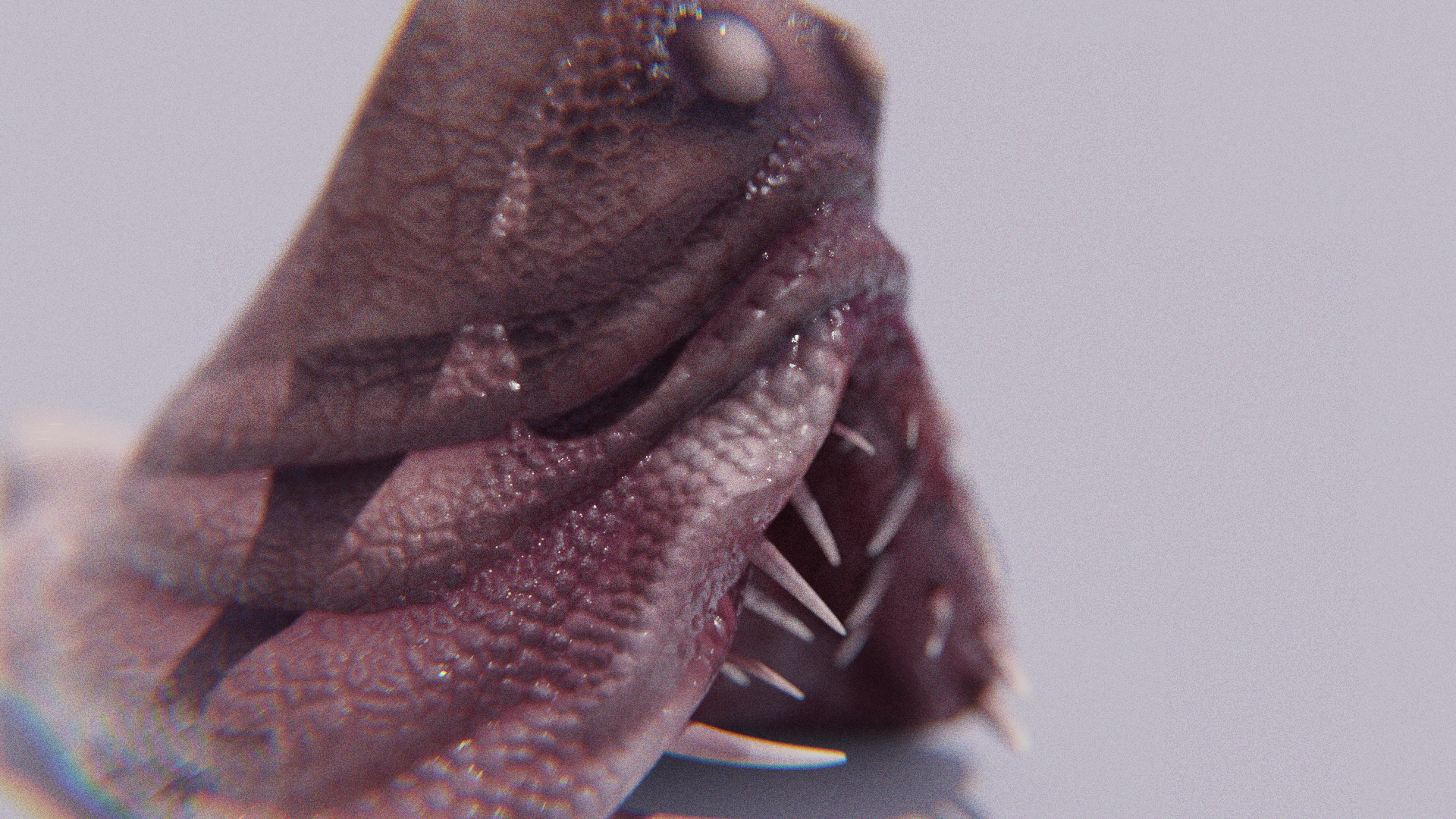 Sluggor Slug Monster 3d Model - Close-up View