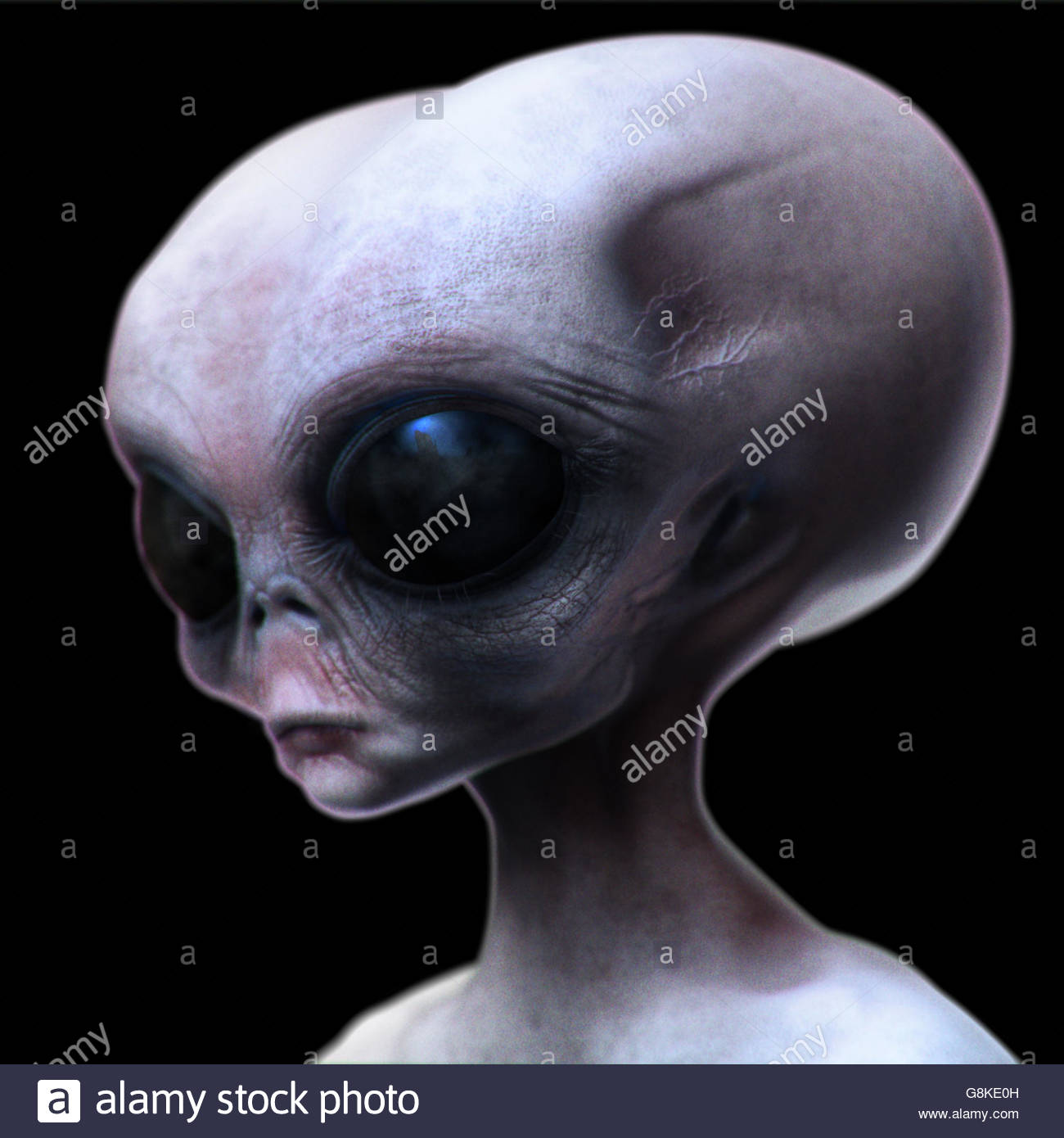 Grey alien with elongated head/skull looking downward isolated on black.