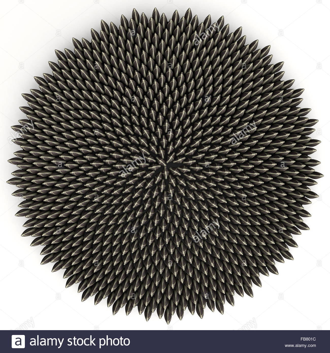 Royalty free clipart illustration of a 3d sunflower seed fibonacci golden ratio circle, on a white background.