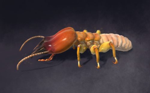 Termite Monster Unity 3d Game Asset