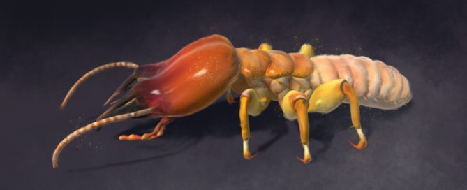 Termite Monster Unity 3d Game Asset